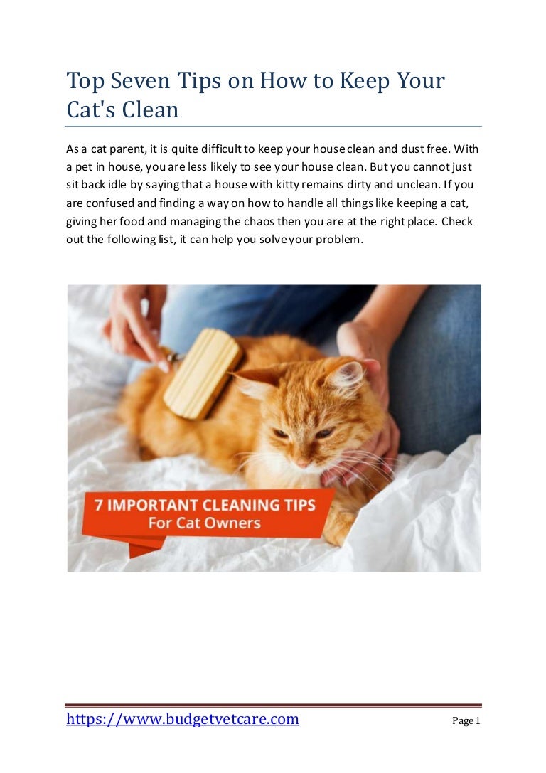 How to Keep Your Cat Clean picture photo How to Keep Your Cat Clean